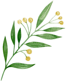 筑後地域から歯並びが悪いお子様をなくしたい。